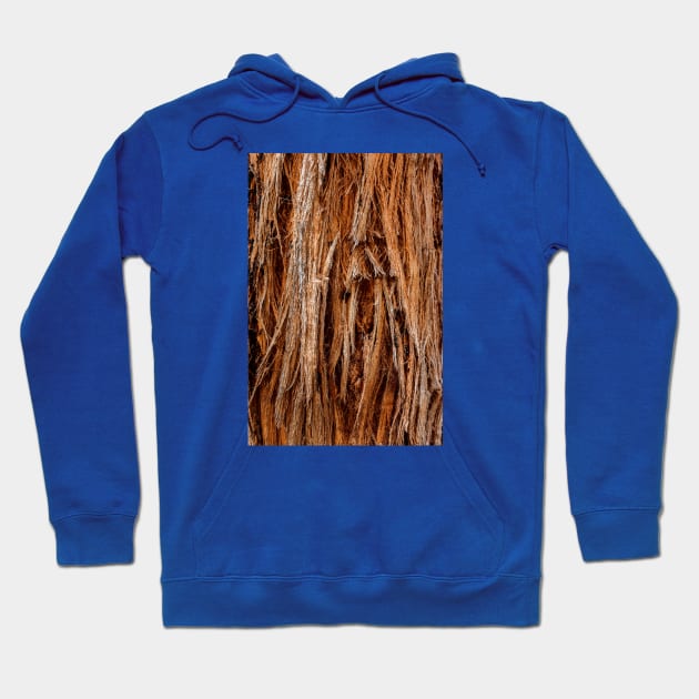 Stringy Bark Tree Texture Hoodie by textural